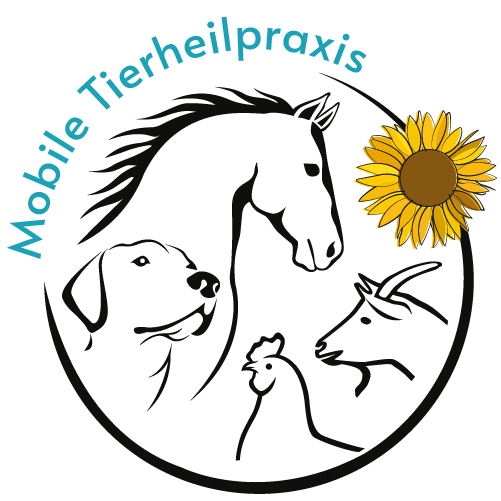Logo Kristin Knuth, Mobile Tierheilpraxis