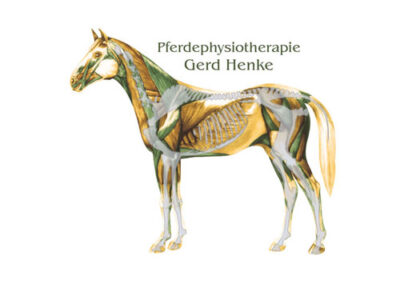 Pferdephysiotherapie